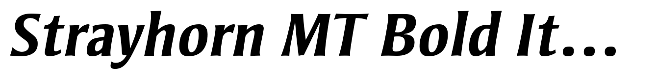 Strayhorn MT Bold Italic